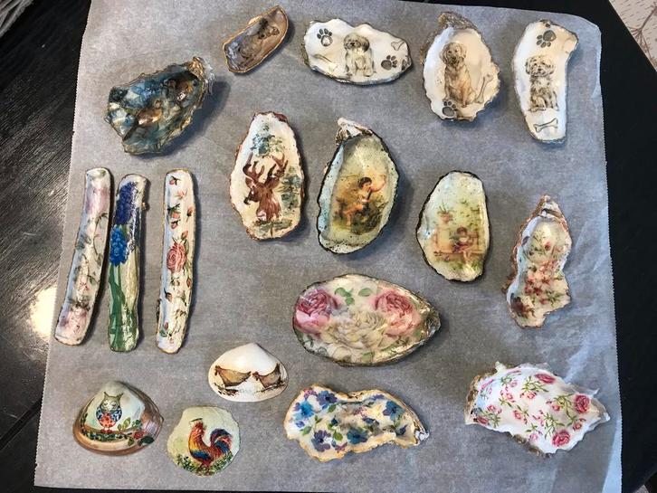 Sier Schelpen oesters jacobsschelp, Verzamelen, Mineralen en Fossielen, Overige typen, Ophalen of Verzenden