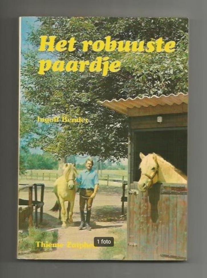 Het robuuste paardje, de IJslander, Fjordenpaard, Haflinger, Boeken, Dieren en Huisdieren, Zo goed als nieuw, Paarden of Pony's