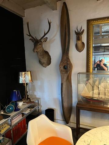 vliegtuig propeller. propellor, antieke propellor beschikbaar voor biedingen