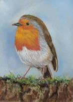 OPRUIMING schilderij roodborstje met lijst - eigen atelier, Minder dan 50 cm, Oorspronkelijke maker, Nieuw, Ophalen of Verzenden