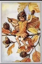 borduur patroon en FAIRY IES BLOEMENKINDEREN LANARTE Bloesem, Hobby en Vrije tijd, Borduren en Borduurmachines, Ophalen of Verzenden