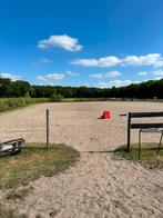 Paddock paradise in eigen beheer, Dieren en Toebehoren, Stalling en Weidegang, Weidegang, 2 of 3 paarden of pony's