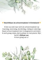 Huishoudelijke hulp, Vanaf 10 jaar, Overige vormen