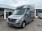 Renault Master STX Hengstenuitvoering Automaat 2020, Dieren en Toebehoren, Ophalen, Gebruikt, Polyester, 2-paards trailer