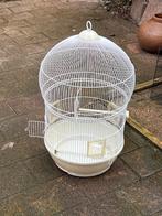 Te Koop Vogel Kooi, Ophalen, Zo goed als nieuw, Metaal, Vogelkooi
