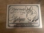 Sphynx Kat 'Naked Beauty' Plaat, Ophalen of Verzenden, Gebruikt