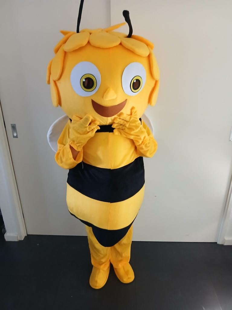 Mascotte Pak Volwassenen 150-170cm, Ophalen of Verzenden, Gebruikt, Carnaval