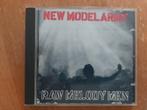 New Model Army, Ophalen of Verzenden, Gebruikt, Poprock