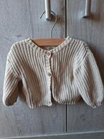 Zeeman vestje maat 68, Zeeman, Ophalen of Verzenden, Zo goed als nieuw, Truitje of Vestje