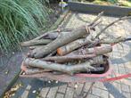 Brandhout, Minder dan 3 m³, Ophalen