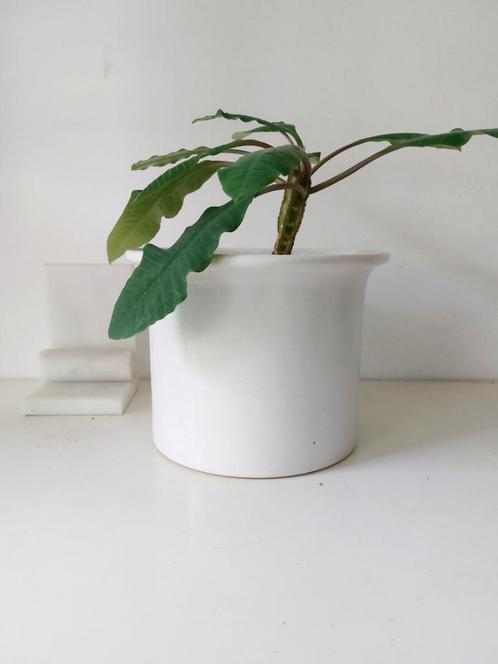 Vintage Bloempot wit glazuur keramiek genummerd Ø 22,50 cm, Antiek en Kunst, Antiek | Woonaccessoires, Ophalen
