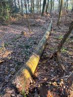 Haardhout boom, Minder dan 3 m³, Ophalen, Overige houtsoorten, Stammen