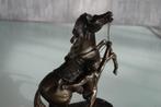 Beeld : Strijd tussen man en paard Miniatuur van de Cheveaux, Antiek en Kunst, Ophalen of Verzenden