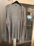 Zeeman Vest Maat 48, Zeeman, Maat 46/48 (XL) of groter, Ophalen of Verzenden, Zo goed als nieuw