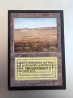 Magic the Gathering : Savannah CE, Ophalen of Verzenden, Gebruikt, Losse kaart