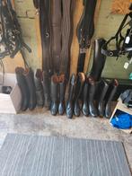 Rijlaarzen, Dieren en Toebehoren, Ophalen of Verzenden, Nieuw, Dressuur, Schoeisel