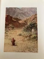 Mozes en Israël - eerste deel Van Gosen tot Horeb, Ophalen of Verzenden, Dr. B. Wielenga
