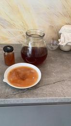 Kombucha starter, Ophalen
