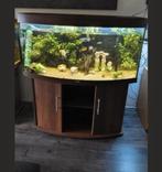 Jewel vision 260 met led en 3d achterwand!, Ophalen of Verzenden, Zo goed als nieuw, Leeg aquarium