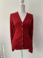 Originele rode RALPH LAUREN Vest maat M!, Kleding | Dames, Maat 38/40 (M), Verzenden, Zo goed als nieuw, Ralph Lauren