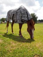 Nieuwe Zebra Vliegendeken met afneembare hals Maat 145, Dieren en Toebehoren, Paarden en Pony's | Dekens en Dekjes, Nieuw, Ophalen of Verzenden