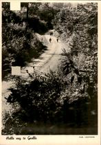 Geulle, Holle weg, Moorveldsberg Hub Leufkens, Verzamelen, Verzenden, 1940 tot 1960, Ongelopen, Limburg