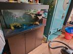 Aquarium Rio juwel 180 inclusief kast, intern en extern filt, Ophalen, Gebruikt