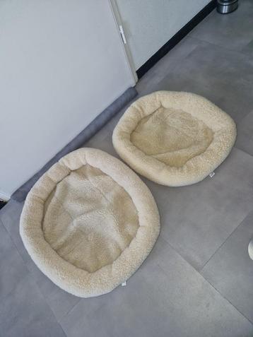 poes mandje hond mandjes teddy creme 2 x beschikbaar voor biedingen