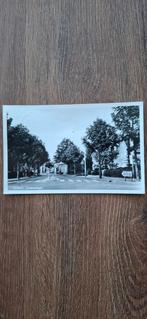 Venray, Julianasingel, Ophalen of Verzenden, 1940 tot 1960