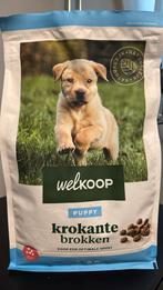 Puppy brokken, Dieren en Toebehoren, Ophalen of Verzenden, Hond
