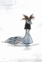 Michelle Dujardin - Nederlandse watervogels - fuut, Verzenden, 1980 tot heden, Ongelopen, Natuur