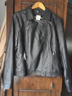 Dames zwarte (biker)jas (nieuw), Kleding | Dames, Verzenden, Zeeman, Zwart, Maat 46/48 (XL) of groter