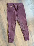 Quur rijbroek, plum. Maat 38 anti slip, Verzenden, Zo goed als nieuw, Dressuur, Onderkleding