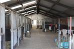 Stallig westkant Woerden, Dieren en Toebehoren, Stalling en Weidegang, Weidegang, 2 of 3 paarden of pony's