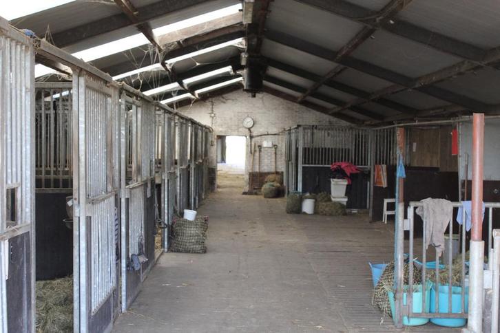 Stallig westkant Woerden, Dieren en Toebehoren, Stalling en Weidegang, Stalling, Weidegang, Toebehoren, 2 of 3 paarden of pony's