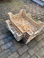 40 kunststof kratjes; 40x60x15cm. Gebruikt, Doe-het-zelf en Verbouw, Kratten en Dozen, Ophalen, Gebruikt, 40 tot 60 cm, 50 tot 75 cm
