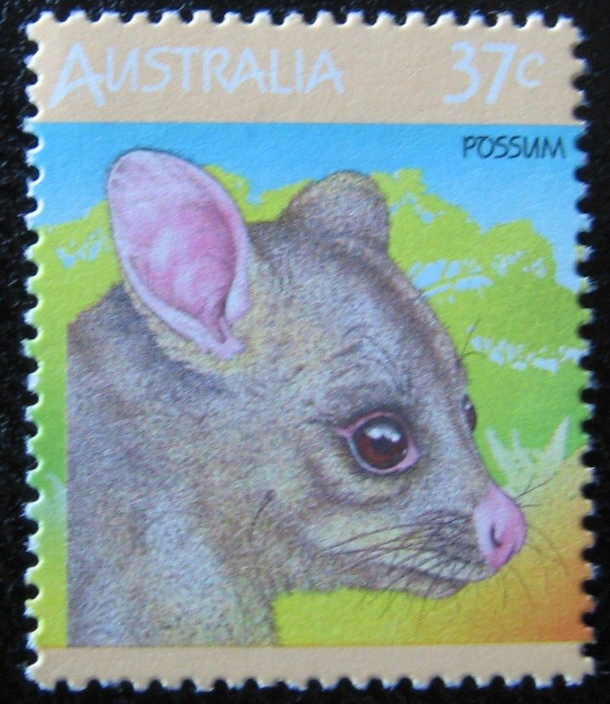 AUSTRALIË 96 - Dieren: zoogdieren (possum), Postzegels en Munten, Postzegels | Thematische zegels, Postfris, Dier of Natuur, Ophalen of Verzenden