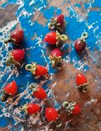 14 glazen aardbeien met lus. glaskralen, Hobby en Vrije tijd, Kralen en Sieraden maken, Nieuw, Ophalen of Verzenden