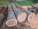 Zaaghout zaagstammen amerikaanse eik, Doe-het-zelf en Verbouw, Ophalen, Plank, 50 mm of meer, Minder dan 200 cm