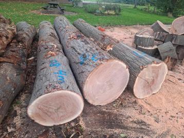 Zaaghout zaagstammen amerikaanse eik beschikbaar voor biedingen