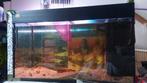 Juwel 80 cm aquarium, Dieren en Toebehoren, Vissen | Aquaria en Toebehoren, Ophalen, Gebruikt, Leeg aquarium