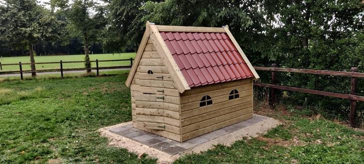 kippenhok geitenhok varkenshok, Dieren en Toebehoren, Schapen, Geiten en Varkens, Schaap, Vrouwelijk