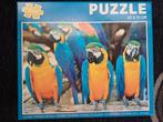 Papegaaien Puzzel - 1000 stukjes, Ophalen of Verzenden