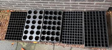 Diverse kweek tray beschikbaar voor biedingen