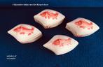 Rode Koi karper Red Koi Carp 4 bakjes aparte vorm Vintage, Antiek en Kunst, Ophalen
