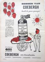 8 vintage advertenties reclames Coebergh drank 56-63, Verzamelen, Merken en Reclamevoorwerpen, Ophalen