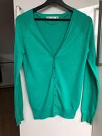 Zara dunne vest kleur groen maat M, Kleding | Dames, Truien en Vesten, Maat 38/40 (M), Zara, Ophalen of Verzenden, Zo goed als nieuw