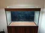 Aquarium verlichting SuperFish scaper Led 112, Dieren en Toebehoren, Ophalen, Zo goed als nieuw, Verlichting of Verwarming