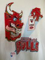 Chicago Bulls NBA shirt , Starter , nieuw jaren 90 DS