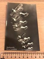 Amerikaanse Marine Vliegtuig Formatie Luchtvaart oude Kaart, Ophalen of Verzenden, Zo goed als nieuw, Kaart, Foto of Prent